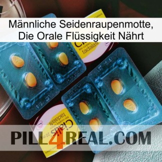 Männliche Seidenraupenmotte, Die Orale Flüssigkeit Nährt cialis5